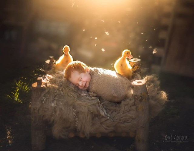 me man bo anh tuyet dep chup em be va thu cung