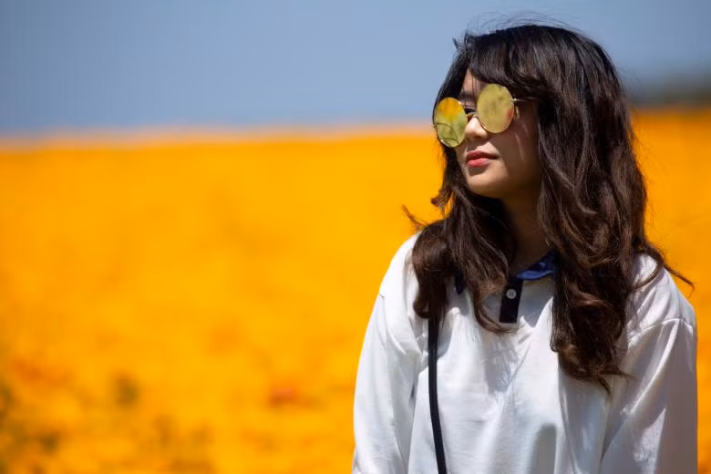 ngam canh dong hoa mao luong day mau sac o california my