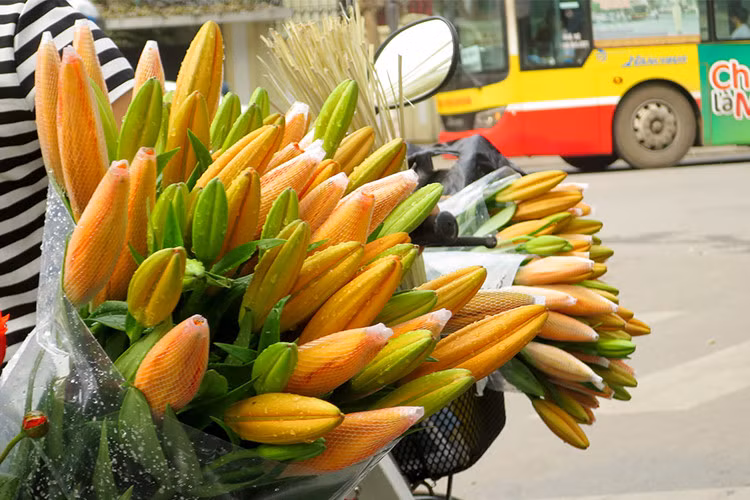 du doan ngay moi 24 04 2018 cho 12 con giap