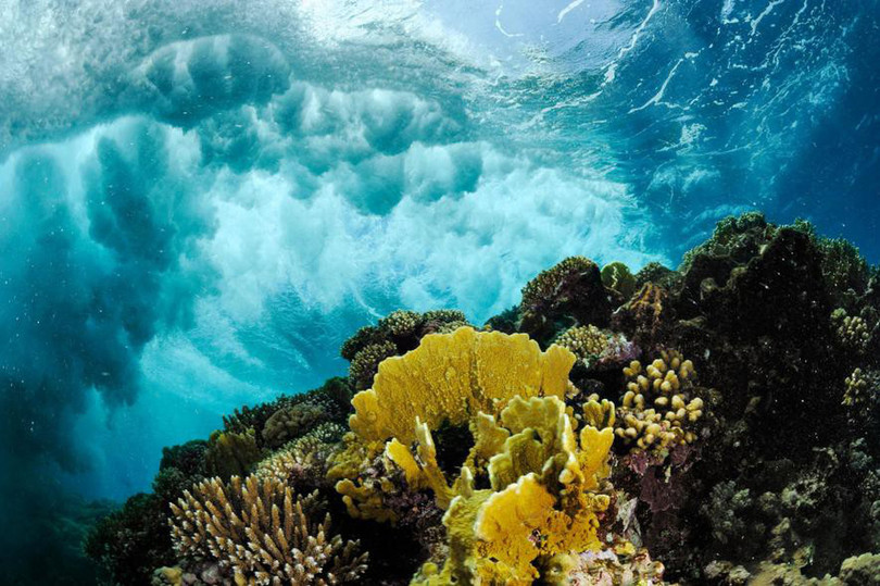 Thiên nhiên đẹp như tranh vẽ ảnh 13 thien nhien dep nhu tranh ve