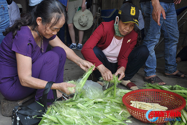 nong dan quang binh an tuong voi mo hinh nong nghiep thong minh tai ha tinh
