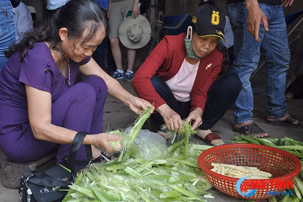 nong dan quang binh an tuong voi mo hinh nong nghiep thong minh tai ha tinh