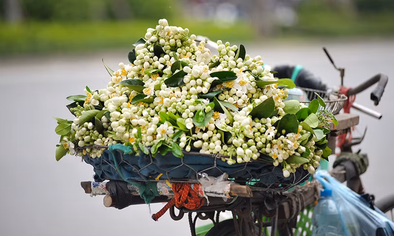 du doan ngay moi 24 04 2018 cho 12 con giap