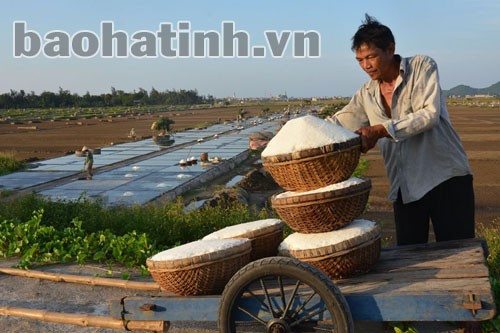 Thành quả của một ngày lao động vất vả