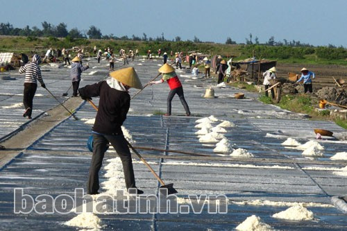 Nắng trên đồng muối ảnh 8