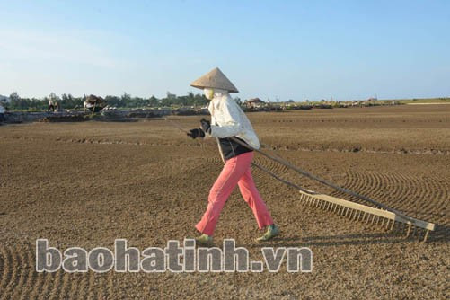 ... và phơi đất