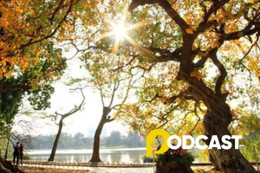 Podcast tản văn: Nắng đông vẫy gọi xuân sang