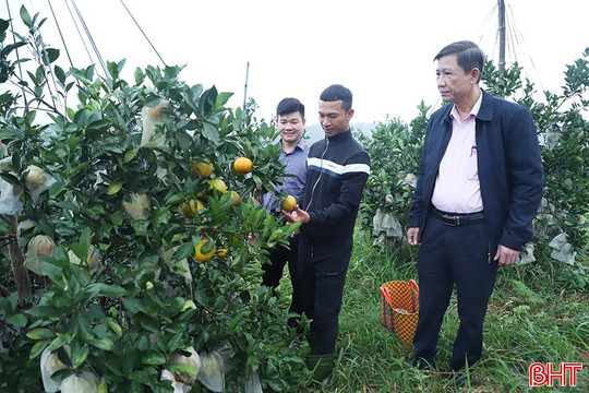 Vốn chính sách tiếp sức nâng tầm đặc sản địa phương