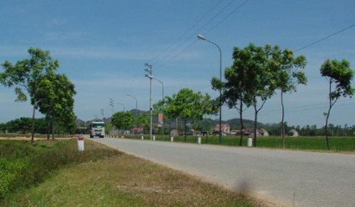 Đường về Tùng Ảnh