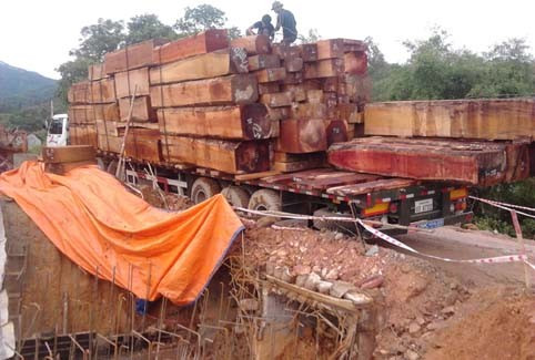 Xe tải chở gỗ mắc kẹt trên cống