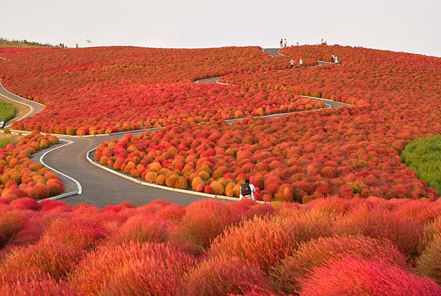 canh sac thien nhien dep nao long khi dat troi vao thu