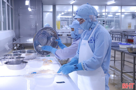 Thủy sản Nam Hà Tĩnh "lột xác", mở ra cơ hội việc làm mới cho nhiều lao động