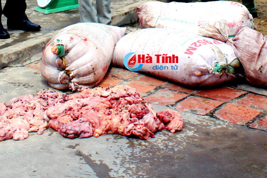 bat giu mot phu nu cho 200kg mo noi tang dong vat hoi thoi