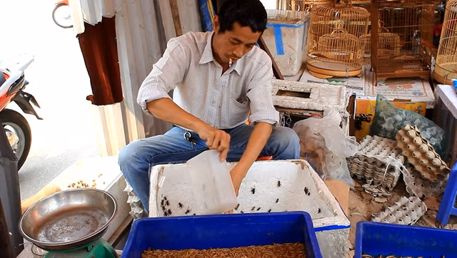 nhung khu cho ky di doc dao chi co o viet nam