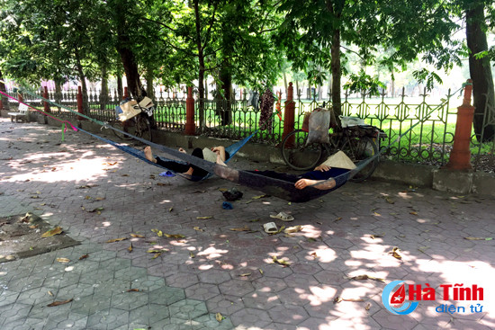 gong minh muu sinh duoi cai nang do lua