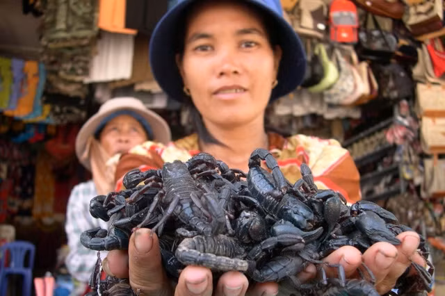 nhung khu cho ky di doc dao chi co o viet nam