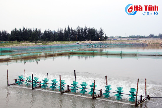 cam xuyen trien khai nhieu mo hinh nong nghiep chat luong cao