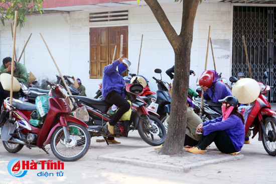 gong minh muu sinh duoi cai nang do lua