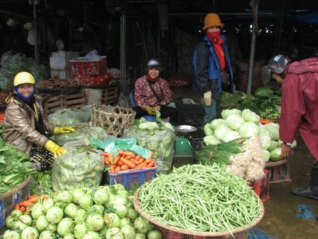 Không biết người ta dùng chất bảo quản gì nhưng rất nhiều rau, quả mua từ chợ về không cần bảo quản bằng tủ lạnh nhưng vẫn giữ được rất lâu