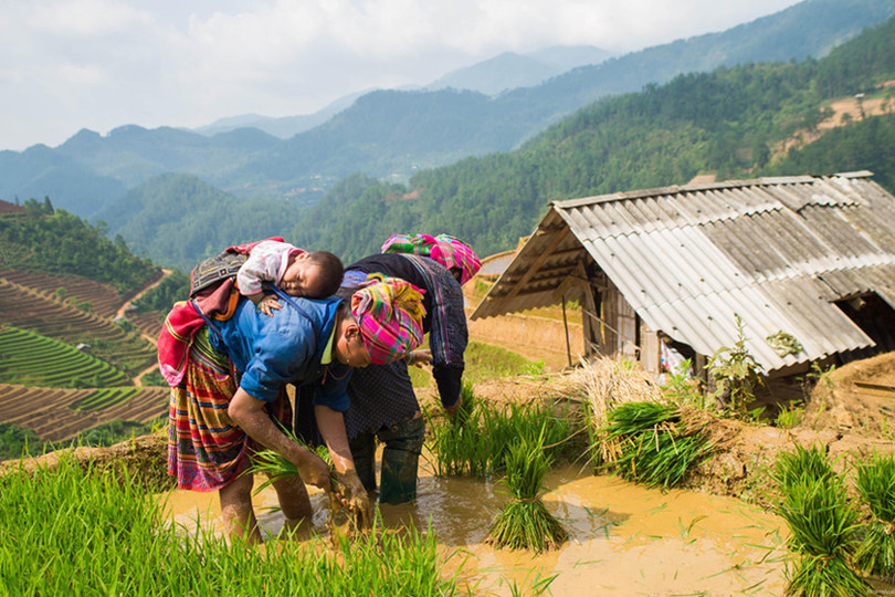 Ngắm vẻ trong trẻo, hồn nhiên của trẻ em trên khắp Việt Nam