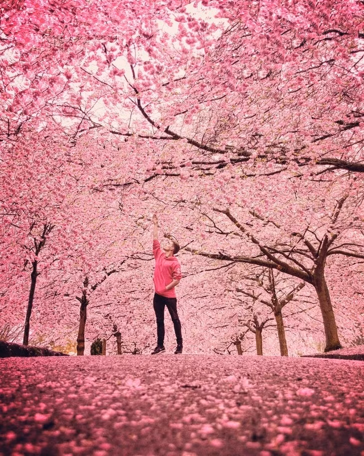 Loạt ảnh tuyệt đẹp khiến bạn chẳng thể nào rời mắt