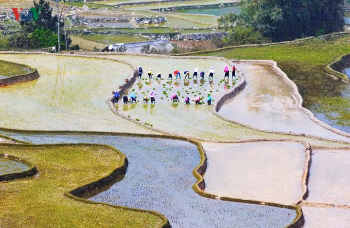 Những “ô màu” Tây Bắc không thể bỏ qua mùa nước đổ