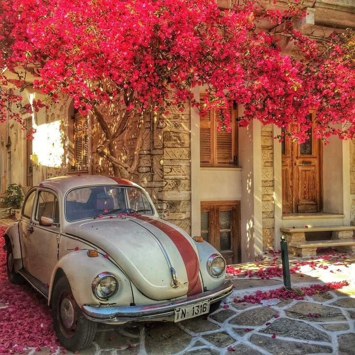 Loạt ảnh tuyệt đẹp khiến bạn chẳng thể nào rời mắt