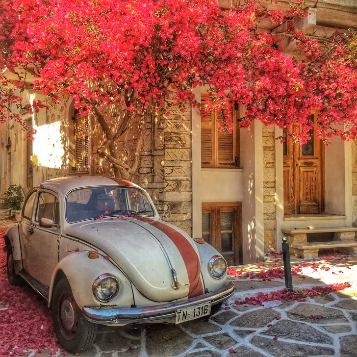 Loạt ảnh tuyệt đẹp khiến bạn chẳng thể nào rời mắt