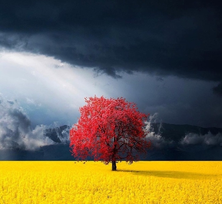 Loạt ảnh tuyệt đẹp khiến bạn chẳng thể nào rời mắt