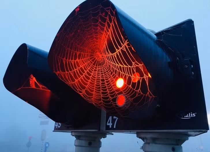 Loạt ảnh tuyệt đẹp khiến bạn chẳng thể nào rời mắt