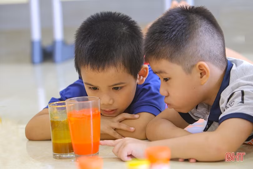 Kỳ nghỉ hè lý thú ở Trường Phổ thông liên cấp Albert Einstein