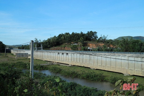 Thông dòng Ngàn Trươi... ảnh 6 Thông dòng Ngàn Trươi...