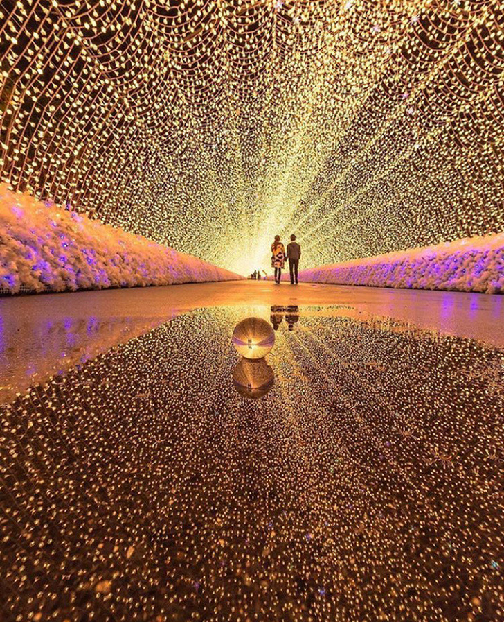 Loạt ảnh tuyệt đẹp khiến bạn chẳng thể nào rời mắt