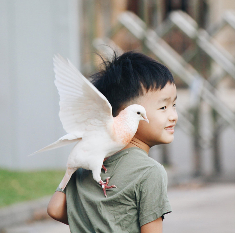 Ngắm vẻ trong trẻo, hồn nhiên của trẻ em trên khắp Việt Nam