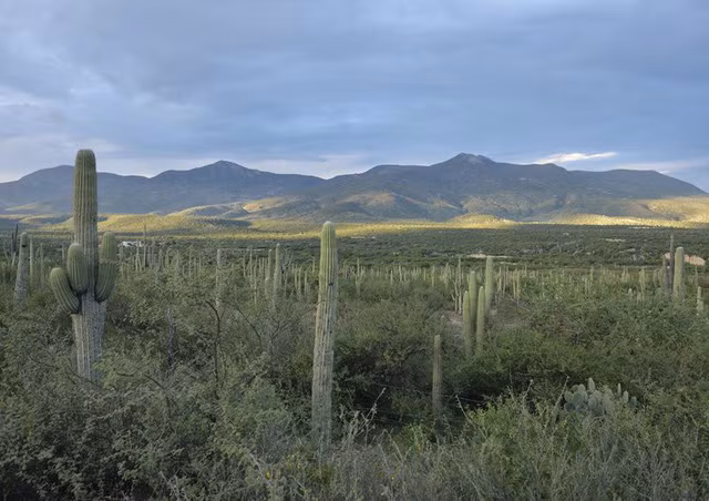 19 di sản Unesco mới của thế giới