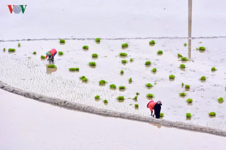 Những “ô màu” Tây Bắc không thể bỏ qua mùa nước đổ