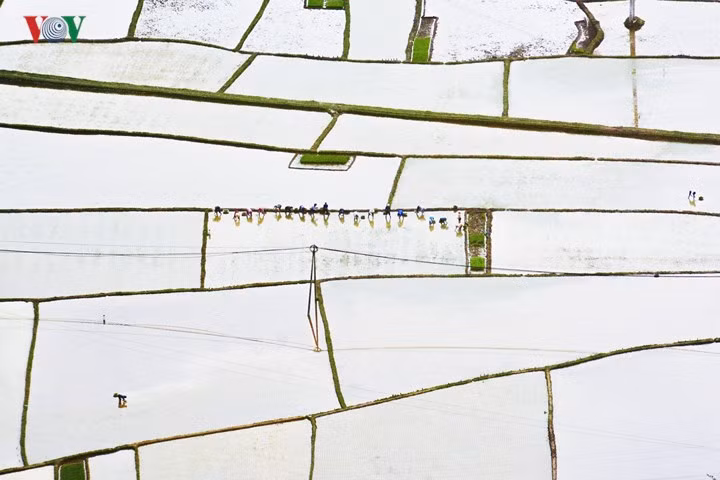 Những “ô màu” Tây Bắc không thể bỏ qua mùa nước đổ