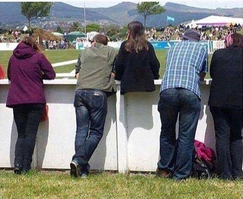 Không nhịn được cười với những ảnh hài hot nhất