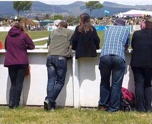 Không nhịn được cười với những ảnh hài hot nhất