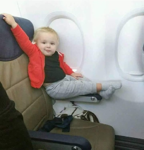 Không nhịn được cười với những ảnh hài hot nhất