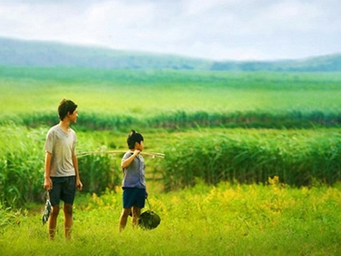 "Tôi thấy hoa vàng trên cỏ xanh" sẽ được chiếu tại tuần phim ở Hà Nội