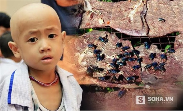 “NGU THÌ CHẾT” và người Việt ăn gì để không chết? ảnh 3 “NGU THÌ CHẾT” và người Việt ăn gì để không chết? ảnh 3