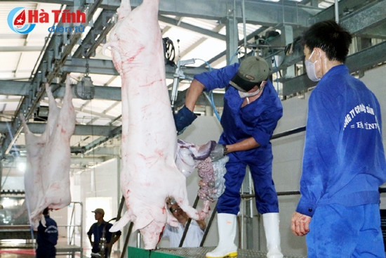 Cung cấp sản phẩm “sạch” cho người tiêu dùng ảnh 2