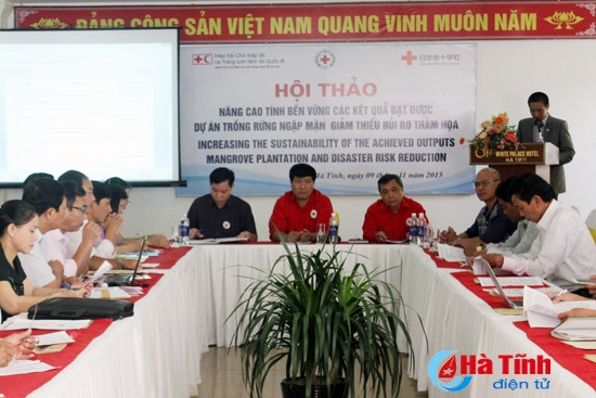 Nâng cao tính bền vững của rừng ngập mặn Hà Tĩnh ảnh 1