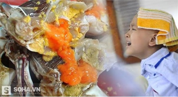 “NGU THÌ CHẾT” và người Việt ăn gì để không chết? ảnh 1 “NGU THÌ CHẾT” và người Việt ăn gì để không chết? ảnh 1