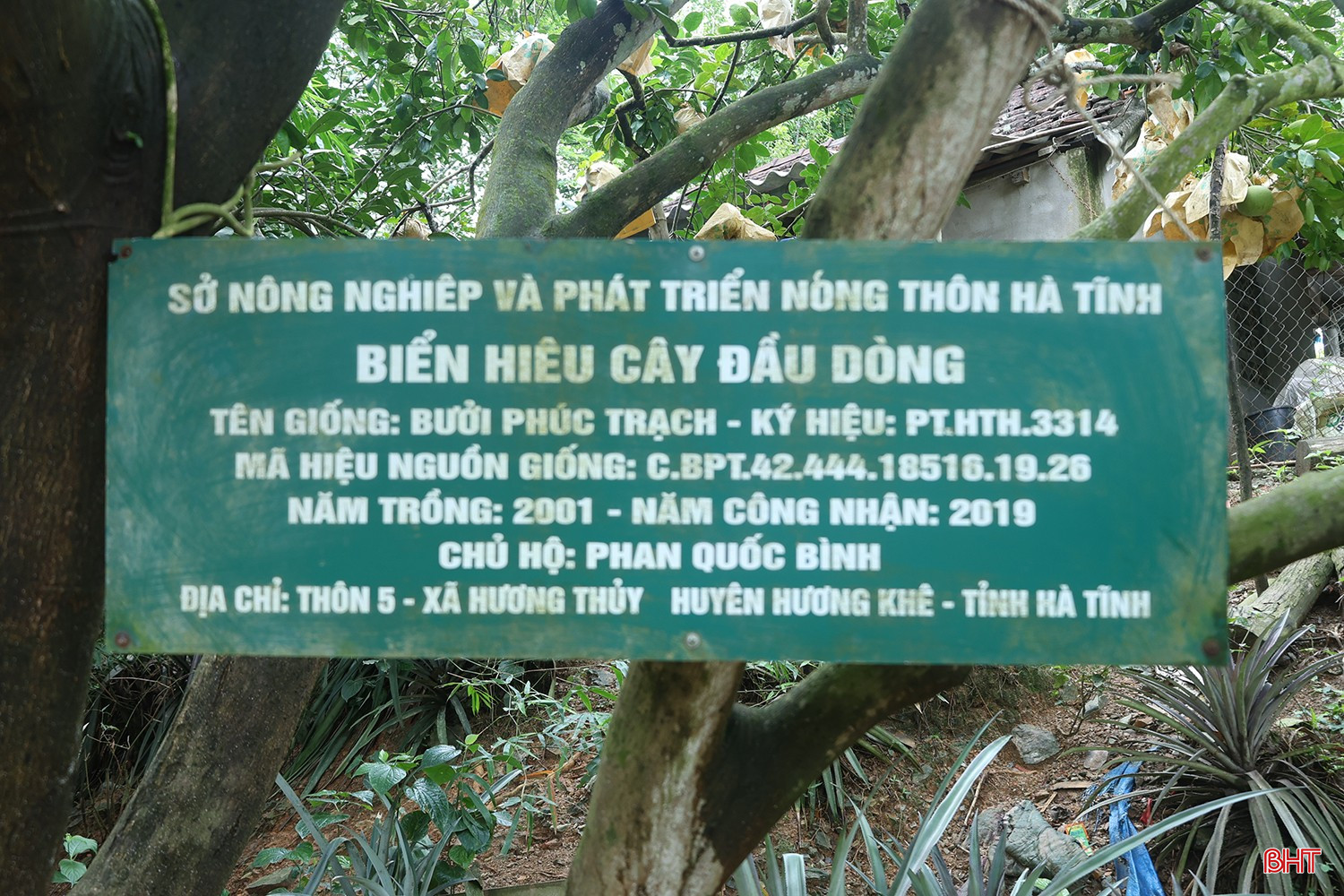 bqbht_br_b2.jpg