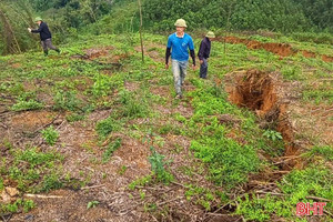 Cấm đường, sơ tán dân khi xuất hiện vết nứt dài 150m trên đồi ở Hà Tĩnh 