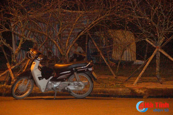 muon kieu leu ngu da chien canh cay canh ban tet
