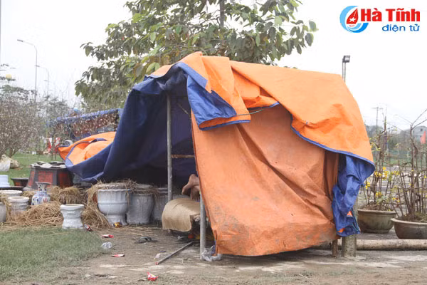 muon kieu leu ngu da chien canh cay canh ban tet