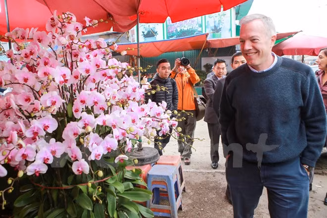 di cho hoa quang an dai su my tam su ke hoach nghi tet nguyen dan